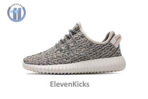 AQ4832 adidas Yeezy Boost 350 Turtle Dove Basf Boost